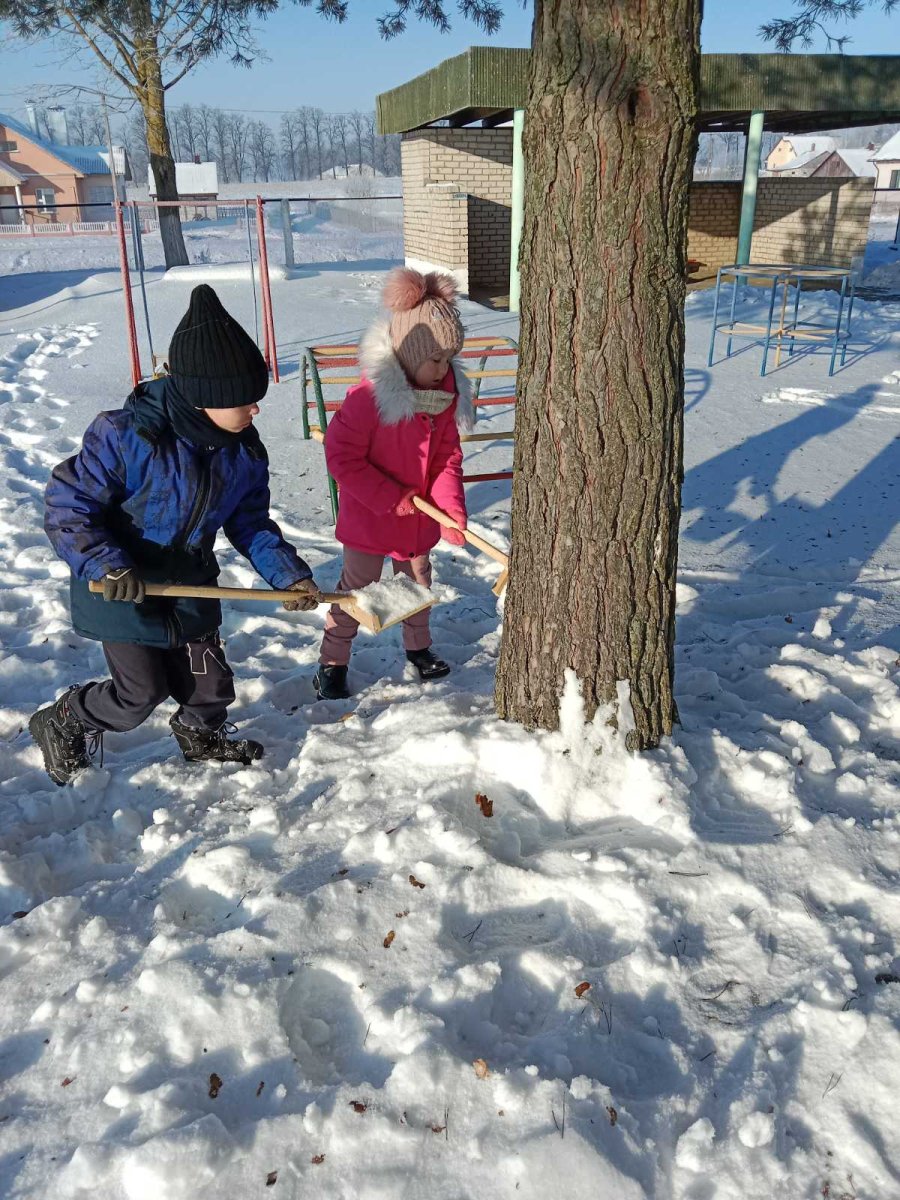 Трудовая деятельность дошкольников 