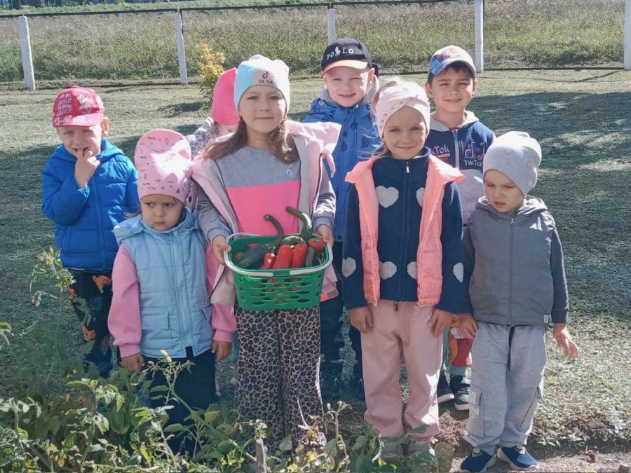 Мы собрали урожай