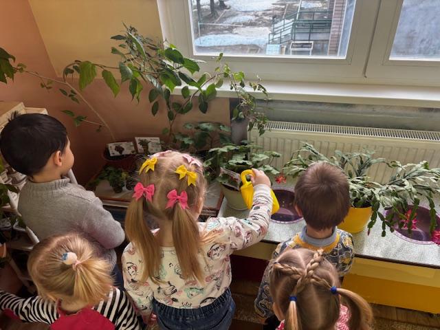 Труд в природе